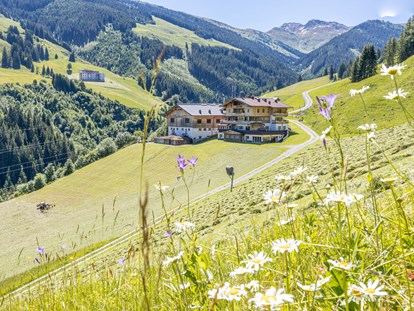 Mountainbike Urlaub - Salzburg - Urlaub auf dem Bauernhof - auch dies ist bei uns möglich - Ferienwohnungen Perfeldhof