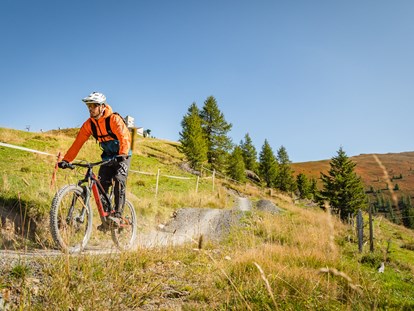 Mountainbike Urlaub - Parkplatz: kostenlos beim Hotel - Flow Country Trail - Hotel GUT Trattlerhof & Chalets****