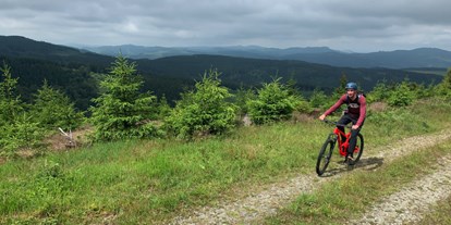 Mountainbike Urlaub - Biketransport: sonstige Transportmöglichkeiten - Deutschland - The Conscious Farmer B&B