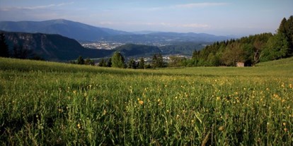 Mountainbike Urlaub - Bikeverleih beim Hotel: E-Mountainbikes - Kärnten - Aussicht vom Naturgut Gailtal - Naturgut Gailtal