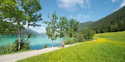 Mountainbike Urlaub - Hunde: hundefreundlich - Kärnten - Familien-Radfahren - Naturgut Gailtal