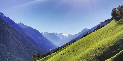 Mountainbike Urlaub - Wellnessbereich - Tirol - Blick ins hintere Stubaital - Hotel Café Brunnenhof
