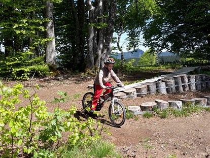 Mountainbike Urlaub - Bikeverleih beim Hotel: Zubehör - Deutschland - Todtnauberg MTB Übungsstrecke Longohornride - Panorama Lodge Sonnenalm Hochschwarzwald