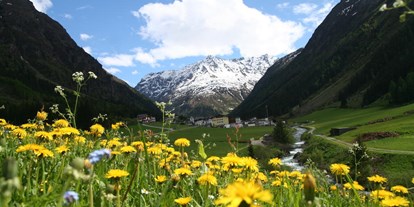 Mountainbike Urlaub - Hotel-Schwerpunkt: Mountainbike & Ruhe - Tirol - Pitztal Panorama - Pension Dorfplatzl