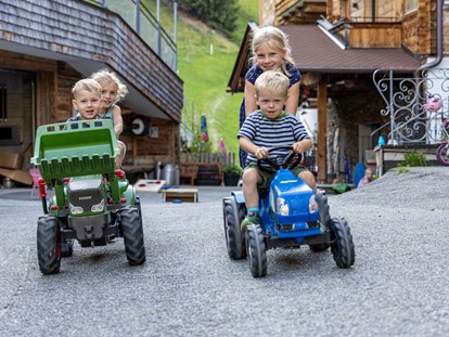 Mountainbike Urlaub - Pinzgau - Viele Freizeitmöglichkeiten für Kinder - Ferienwohnungen Perfeldhof