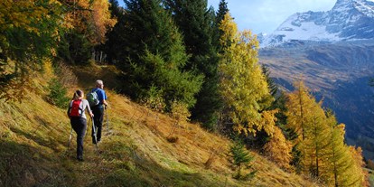 Mountainbike Urlaub - Umgebungsschwerpunkt: See - Tirol - Sport Region Wipptal - Gästehaus St. Michael