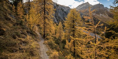 Mountainbike Urlaub - Graubünden - Traumhafte Landschaft Davos - Hotel Dischma