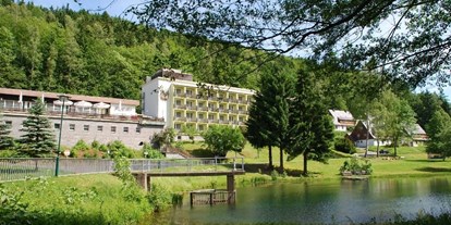 Mountainbike Urlaub - Umgebungsschwerpunkt: Therme - Deutschland - Hotel Schwarzbachtal Hideaway