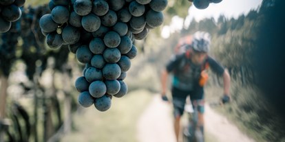 Mountainbike Urlaub - Fahrrad am Zimmer erlaubt - Trentino-Südtirol - Hotel Traminerhof
