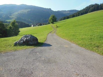 Mountainbike Urlaub - Tiroler Oberland - Berg- und Aktivhotel Edelsberg, Bad Hindelang-Unterjoch, Umgebung - Berg- und Aktivhotel Edelsberg GmbH