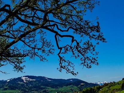 Mountainbike Urlaub - Klassifizierung: 4 Sterne S - Deutschland - Oberstaufen  - Lindner Parkhotel & Spa 