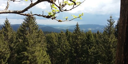 Mountainbike Urlaub - Bikeverleih beim Hotel: Mountainbikes - Deutschland - Der Thüringer Wald - Gasthaus Waldfrieden
