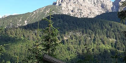 Mountainbike Urlaub - Servicestation - Tirol - Biketour durch den Klausenwald - Die Lilie - Hotel Garni