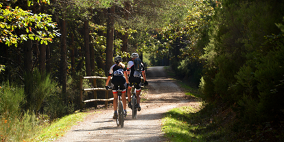 Mountainbike Urlaub - kostenloser Verleih von GPS Geräten - Deutschland - Sporthotel Schulenberg