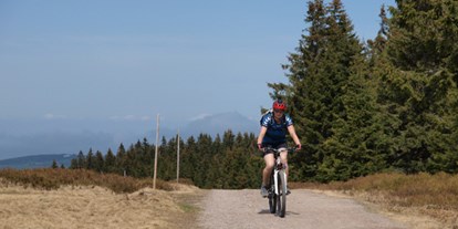 Mountainbike Urlaub - veganes Essen - Deutschland - Waldhotel am Notschreipass