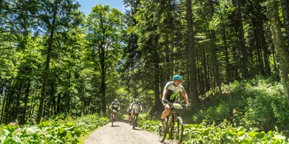Mountainbike Urlaub - Garten - Deutschland - Waldhotel am Notschreipass