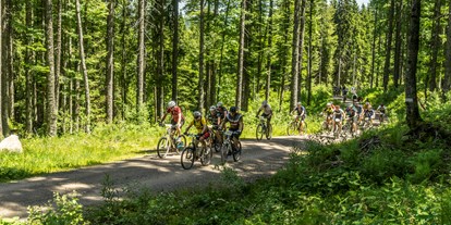 Mountainbike Urlaub - Biketransport: Bike-Shuttle - Deutschland - Waldhotel am Notschreipass