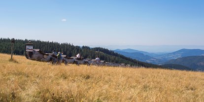 Mountainbike Urlaub - Umgebungsschwerpunkt: Berg - Deutschland - Stübenwasen Ausblick - Waldhotel am Notschreipass