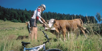 Mountainbike Urlaub - Klassifizierung: 4 Sterne - Deutschland - Waldhotel am Notschreipass