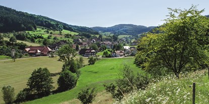 Mountainbike Urlaub - Deutschland - Prinzbach - Das Dorf - Hotel Badischer Hof