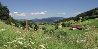 Mountainbike Urlaub - Verpflegung: All-inclusive - Deutschland - Landschaft rund um Prinzbach - Hotel Badischer Hof