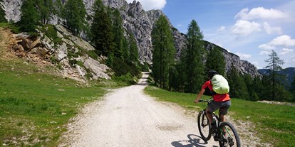 Mountainbike Urlaub - Biketransport: öffentliche Verkehrsmittel - Kärnten - Hotel Gartnerkofel