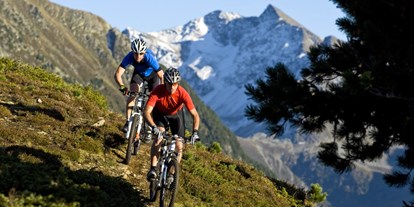 Mountainbike Urlaub - Biketransport: öffentliche Verkehrsmittel - Tirol - Lochle Alm Trail - The Peak Sölden