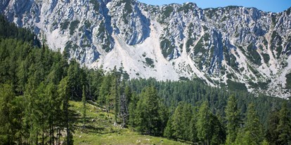 Mountainbike Urlaub - Umgebungsschwerpunkt: Berg - Kärnten - Pension Pirkdorfer See