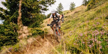 Mountainbike Urlaub - organisierter Transport zu Touren - Kärnten - Ortners Eschenhof