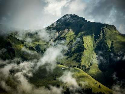 Mountainbike Urlaub - Kirchberg in Tirol - THOMSN - Alpine Rock Hotel