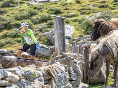 Mountainbikehotel: Hotel Annelies