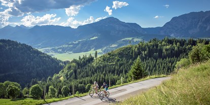 Mountainbike Urlaub - Biketransport: Bergbahnen - Gosau - Servus die Wadln - Hotel Zum Jungen Römer