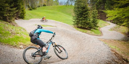 Mountainbike Urlaub - Bikeverleih beim Hotel: Mountainbikes - Faak am See - BFLOW TRAIL „MEX - LINE 1“ - Naturgut Gailtal