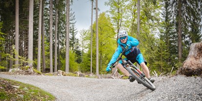 Mountainbike Urlaub - Parkplatz: kostenlos beim Hotel - Drobollach am Faaker See - FLOW TRAIL „MEX - LINE 1“ - Naturgut Gailtal