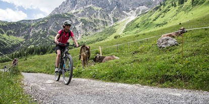 Mountainbike Urlaub - Parkplatz: kostenlos beim Hotel - Schwangau - Alpengasthof Hörnlepass ***