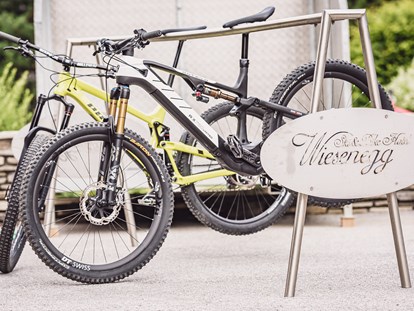 Mountainbike Urlaub - Biketransport: sonstige Transportmöglichkeiten - Ski & Bike Hotel Wiesenegg