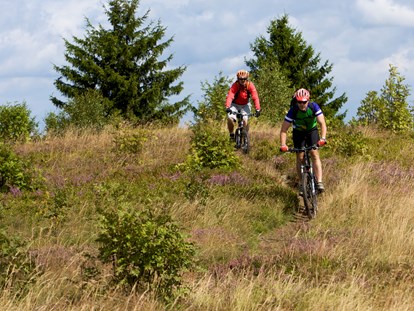 Mountainbike Urlaub - Hotel-Schwerpunkt: Mountainbike & Ruhe - Deutschland - auf geführter Tour - Schröders Hotelpension
