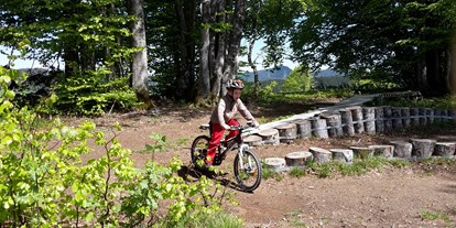 Mountainbike Urlaub - Fahrradraum: vorhanden - Eisenbach (Hochschwarzwald) - Todtnauberg MTB Übungsstrecke Longohornride - Panorama Lodge Sonnenalm Hochschwarzwald