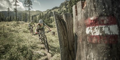 Mountainbike Urlaub - Bikeverleih beim Hotel: Mountainbikes - Salzburg - Hotel Bergzeit