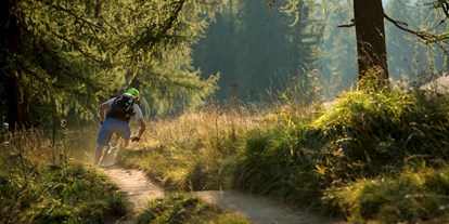 Mountainbike Urlaub - Biketransport: Bergbahnen - Trentino-Südtirol - Hotel Elisabeth
