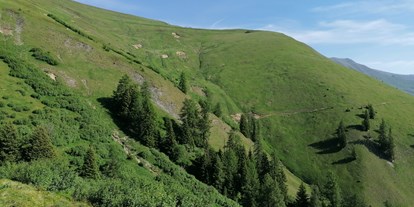 Mountainbike Urlaub - Umgebungsschwerpunkt: Berg - Reschen - Hotel Noldis