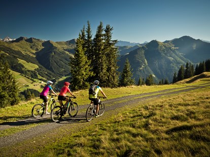 Mountainbike Urlaub - Biketransport: öffentliche Verkehrsmittel - Österreich - AlpenParks Hotel & Apartment Sonnleiten Saalbach