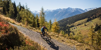 Mountainbike Urlaub - WLAN - Bruck am Ziller - Mountainbiken Richtung Steineralm - Wander- & Wellnesshotel Gassner
