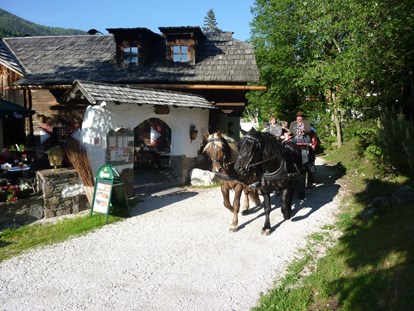 Mountainbike Urlaub - Hotel-Schwerpunkt: Mountainbike & Familie - Tröpolach - Pferdekutschen-Erlebnisfahrten - Trattlers Hof-Chalets