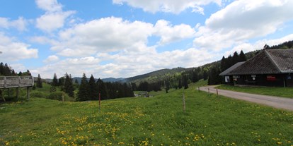 Mountainbike Urlaub - Hotel-Schwerpunkt: Mountainbike & Wandern - Müllheim - Landschaft in der Umgebung - H&P Residenz Grafenmatt