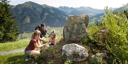 Mountainbike Urlaub - Umgebungsschwerpunkt: am Land - Pinzgau - https://www.saalbach.com/de - mountainlovers Berghotel*** SeidlAlm