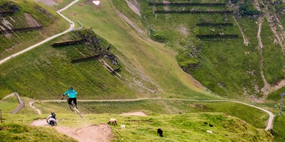 Mountainbike Urlaub - geführte MTB-Touren - Going am Wilden Kaiser - https://www.saalbach.com/de - mountainlovers Berghotel*** SeidlAlm