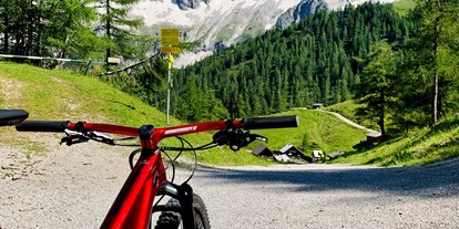 Mountainbike Urlaub - veganes Essen - Gosau - Hotel Annelies