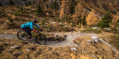 Mountainbike Urlaub - Biketransport: Bergbahnen - Silvaplana - Traumhafter Downhill - Hotel Dischma