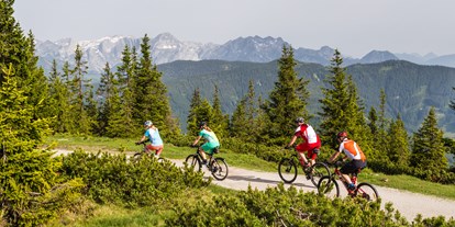 Mountainbike Urlaub - Bikeverleih beim Hotel: Mountainbikes - Gosau - © Salzburger Sportwelt/Coen Weesjes - Gut Weissenhof ****Superior
